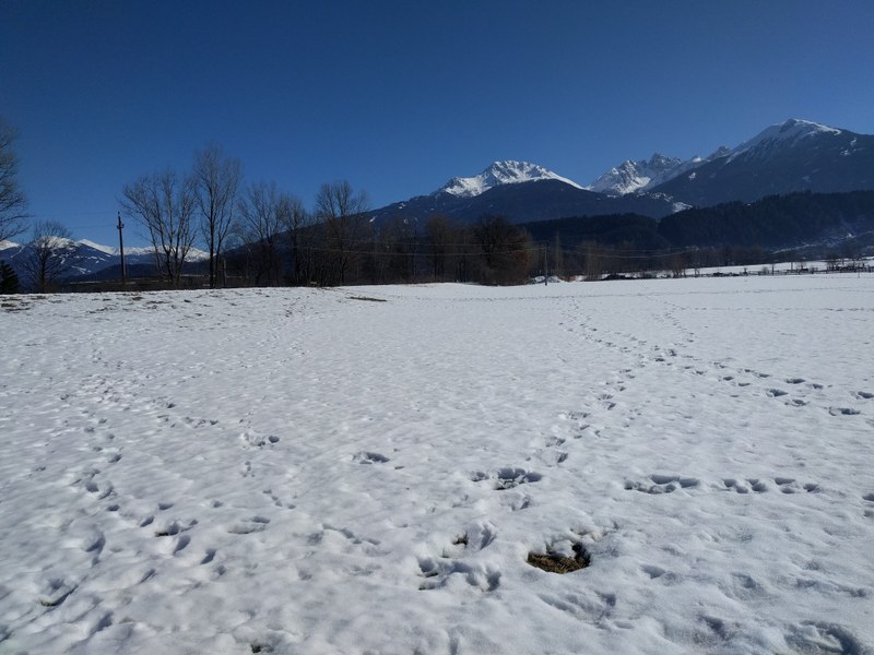 IMG_20180304_142155.jpg