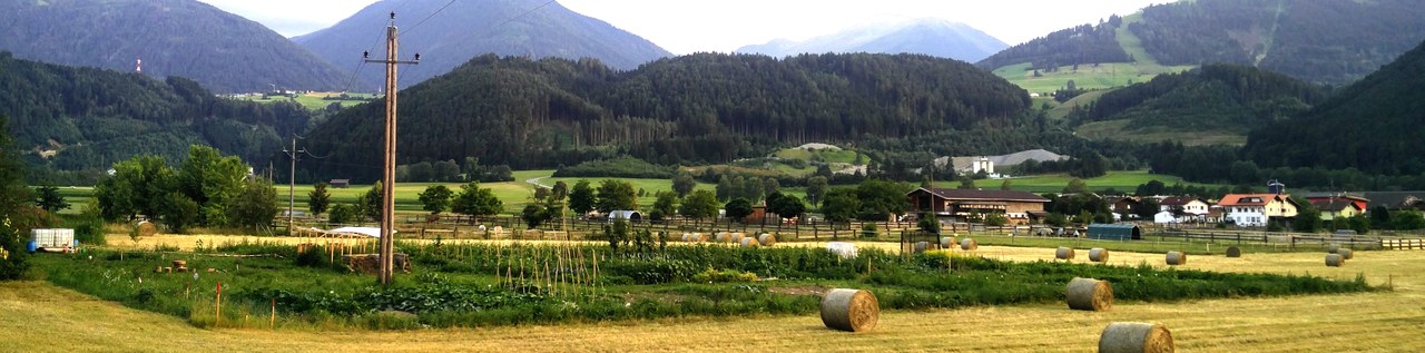 Der Garten im Sommer 2018 Der Garten im Sommer 2018